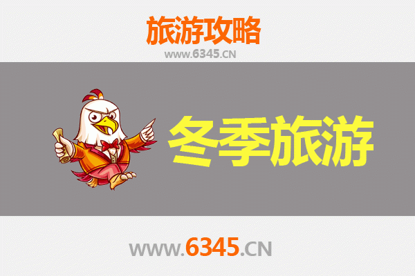 济南平阴冬季旅游攻略：冬日玫瑰之乡的静谧与温情